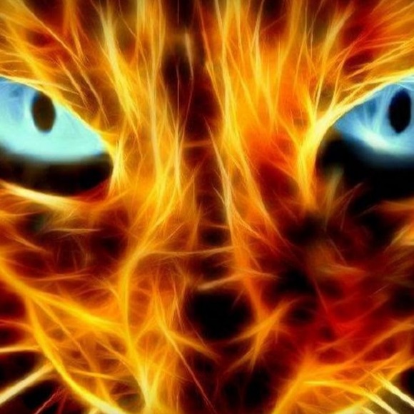 Meet your Posher, Tahira - Picture 1 of 1